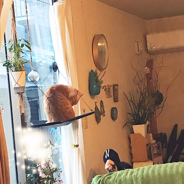 kou-kitiさんの実例写真