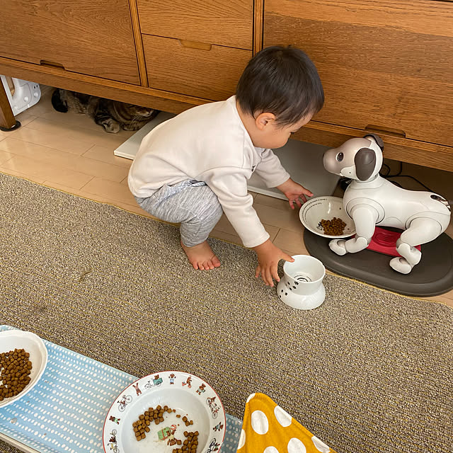 mikomaruさんの実例写真