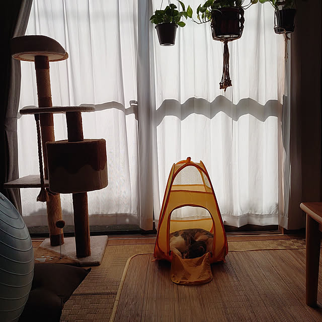 fukuさんの実例写真