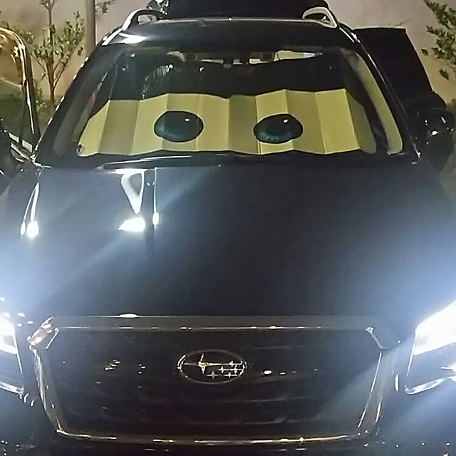 Sukeさんの実例写真