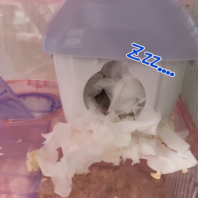 milkさんの実例写真