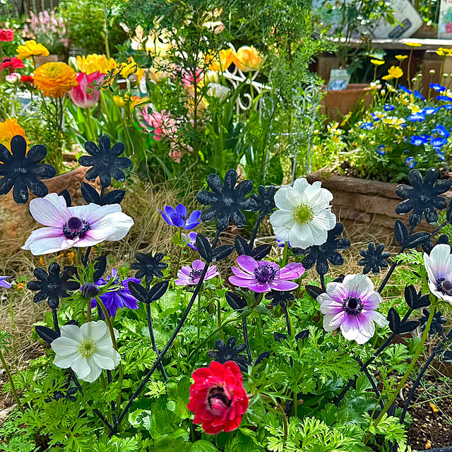 kaochanさんの実例写真