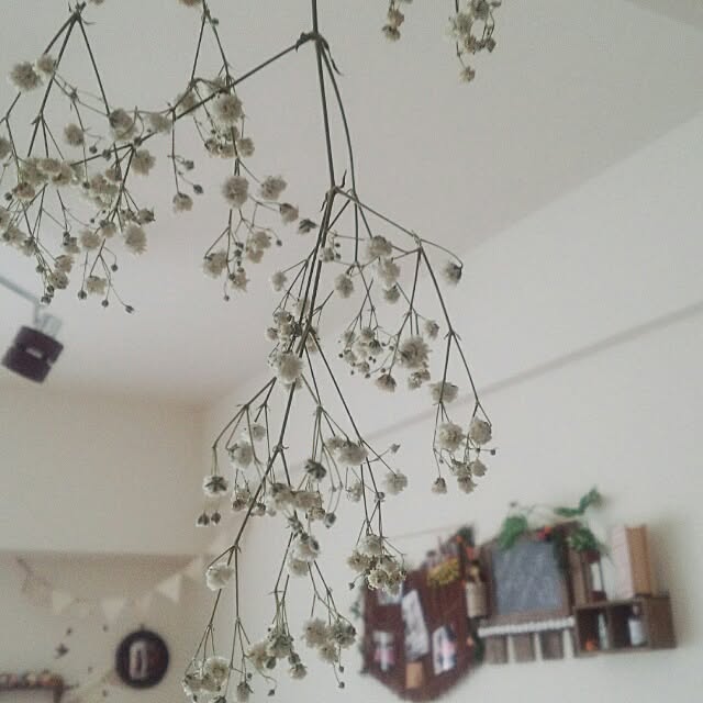 yukinaさんの実例写真