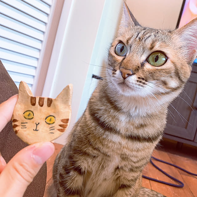 harukaさんの実例写真