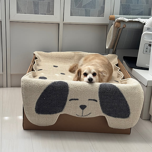 Rainyさんの部屋