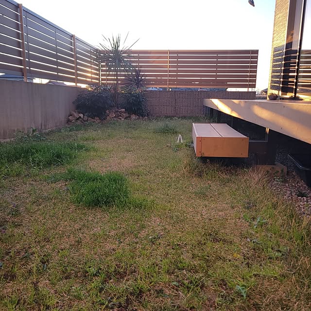 Shimple-yukiさんの実例写真