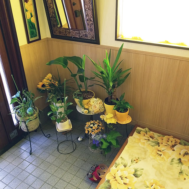 yokoさんの実例写真