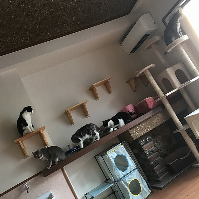 yasuyoさんの実例写真