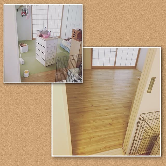 momyさんの実例写真