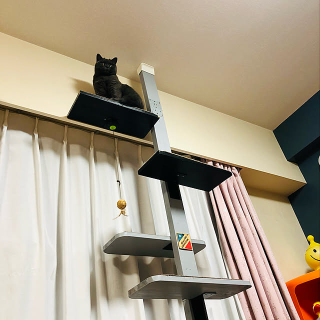Shojiさんの実例写真