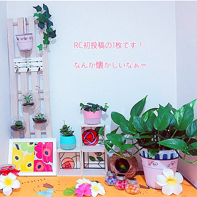 koyuriさんの実例写真