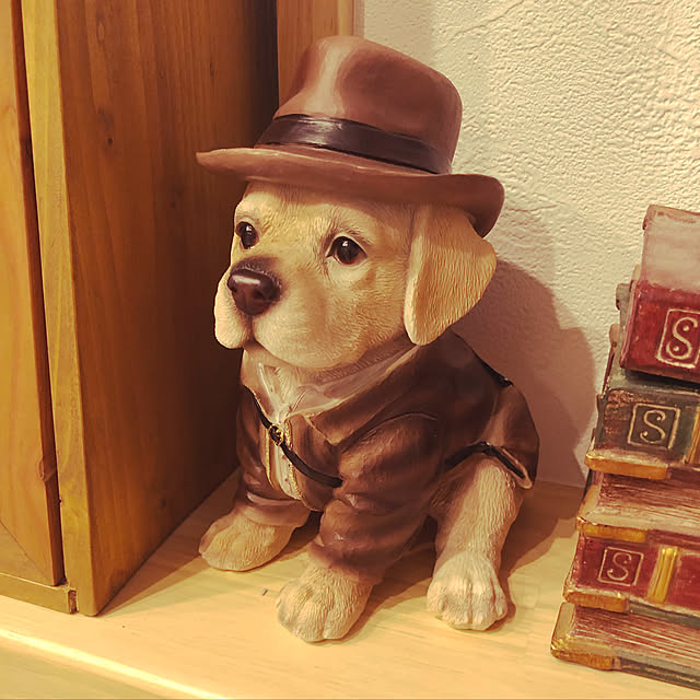 satonoriさんの実例写真