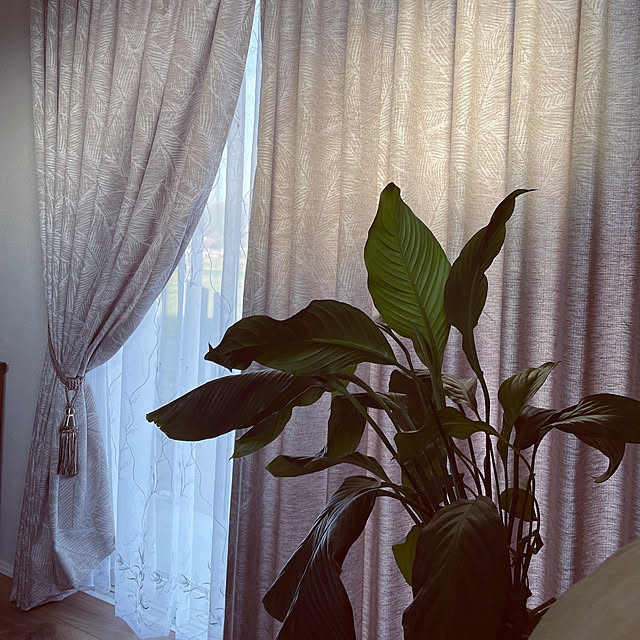 JUDYさんの実例写真