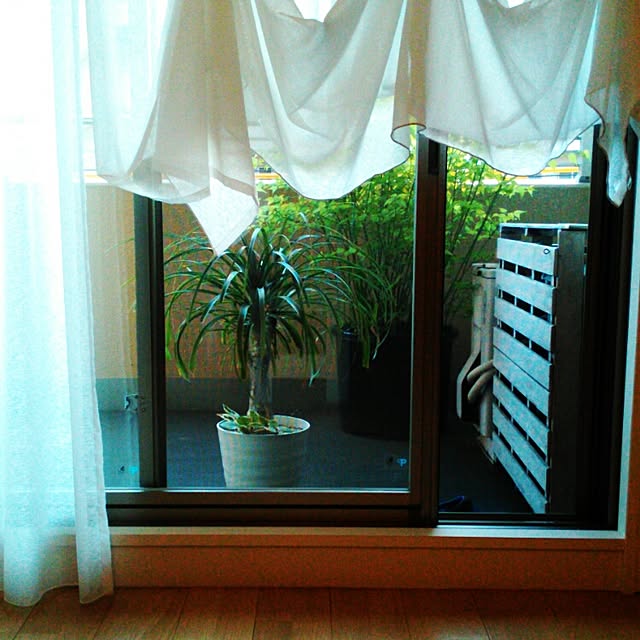 iketoさんの実例写真