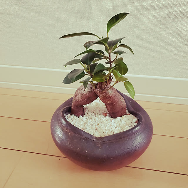 kurochi-さんの実例写真