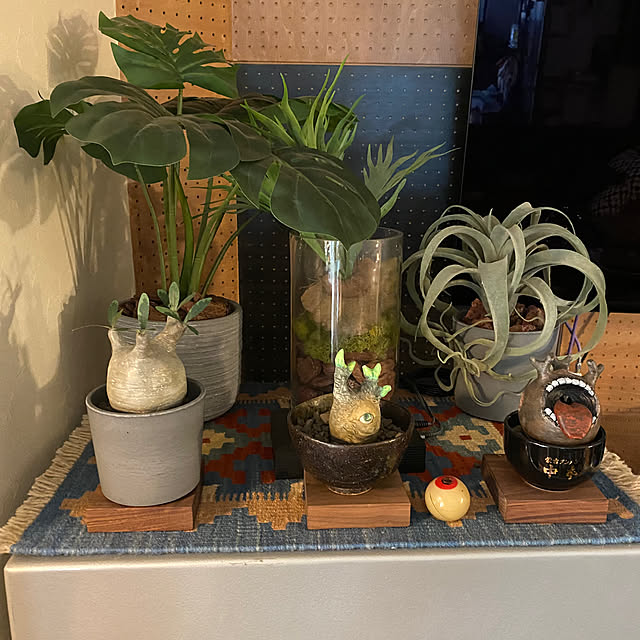 norizoさんの部屋