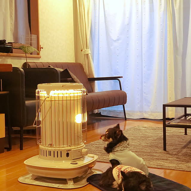 建売/掃除完了/建売住宅/コロナストーブ/ソファ...などのインテリア実例 - 2021-01-08 07:28:32