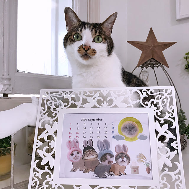 yuchiさんの実例写真