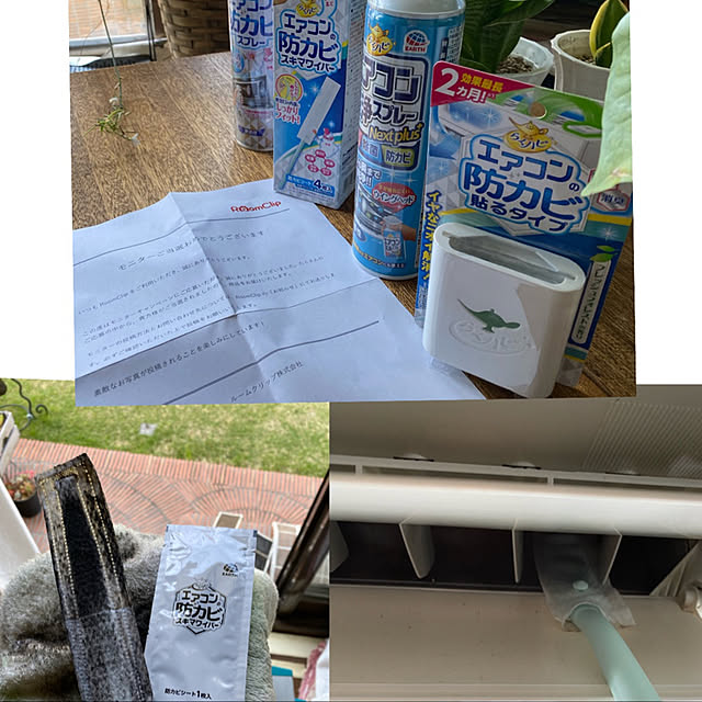 dainaoreiさんの実例写真