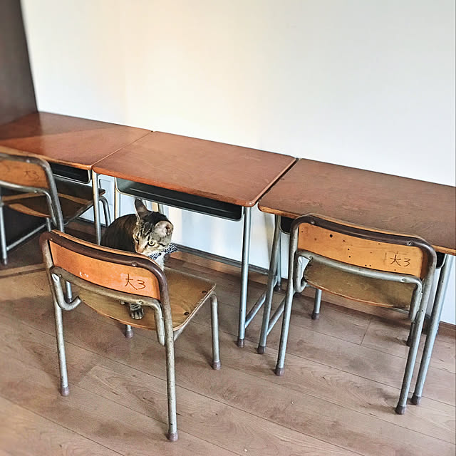 mattunn24さんの実例写真