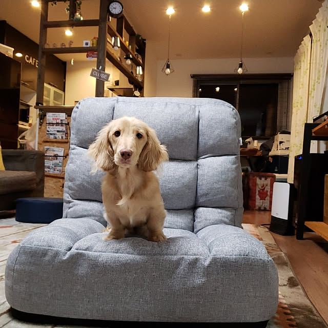 ciiiさんの実例写真