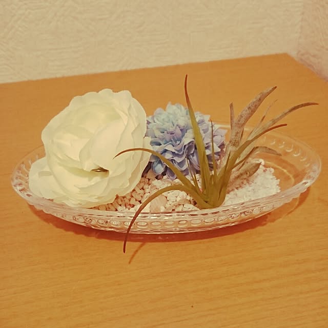 misakiさんの実例写真
