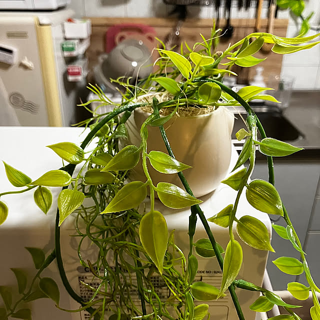 kagomamaさんの部屋