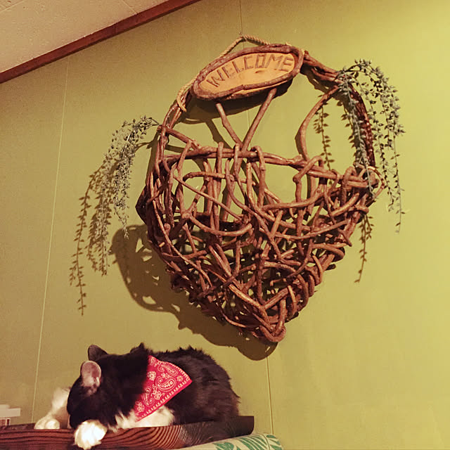 実例写真
