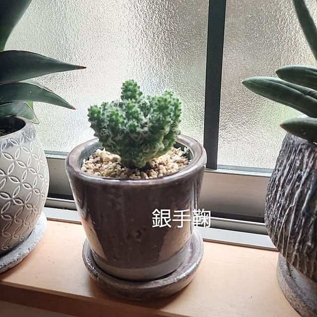 makkyさんの部屋