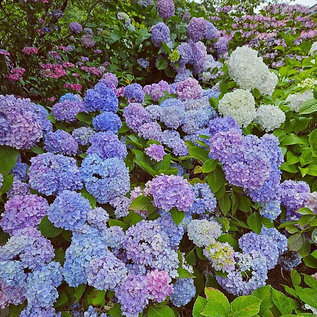 mocomocoさんの部屋