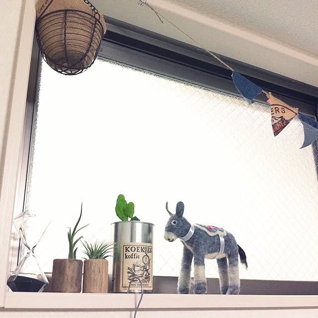pさんの実例写真
