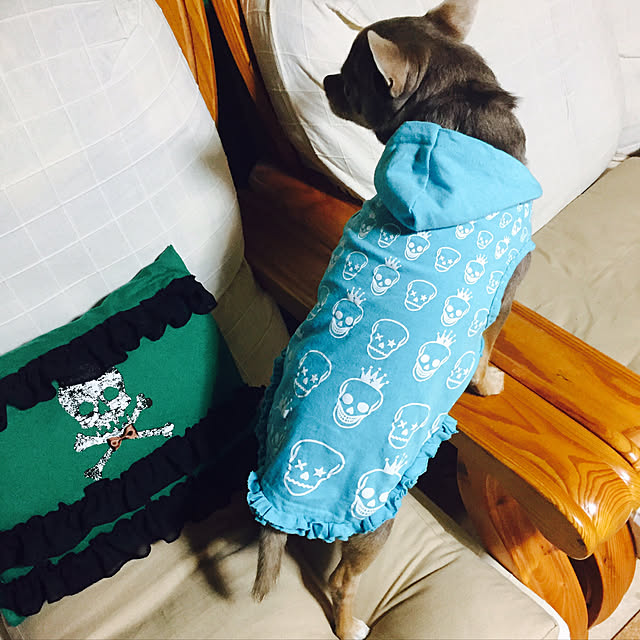 shippoさんの実例写真