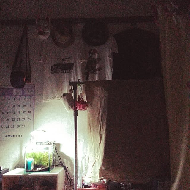 実例写真
