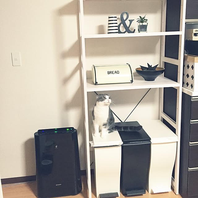 tansukeさんの実例写真
