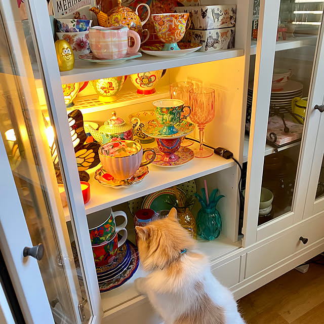 Spiceさんの部屋