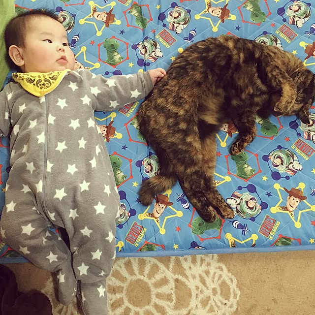 nmeeeさんの実例写真