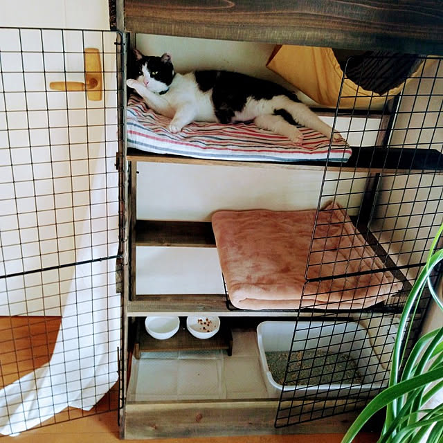 mayさんの実例写真