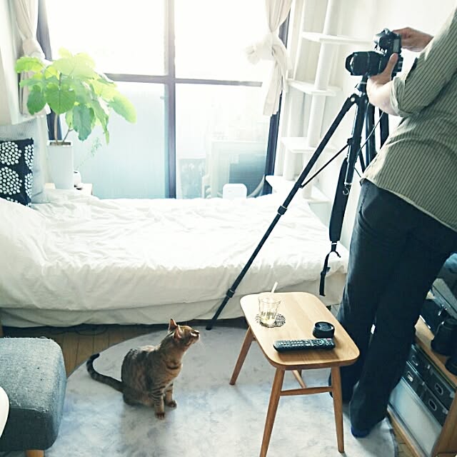 komugiさんの実例写真