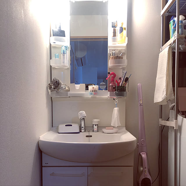 Hayabusaさんの実例写真