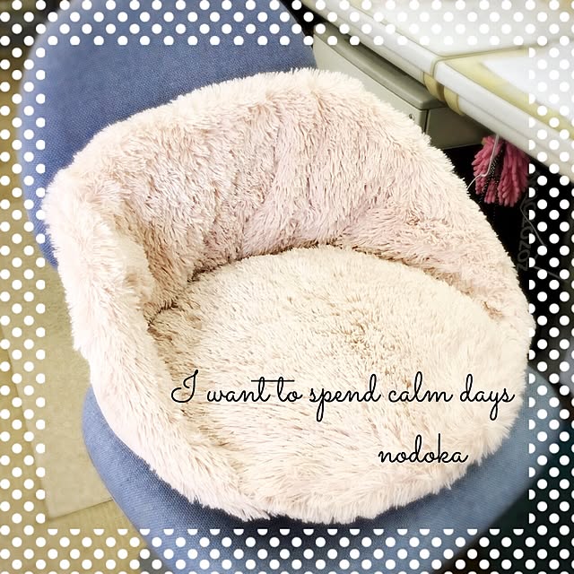 nodokaさんの実例写真