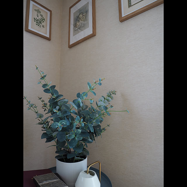 rurinosukeさんの実例写真