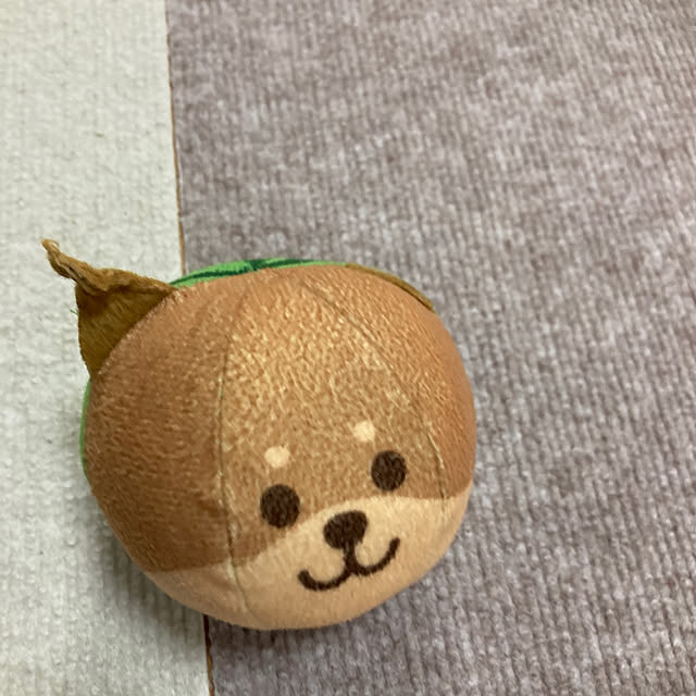 koroさんの部屋