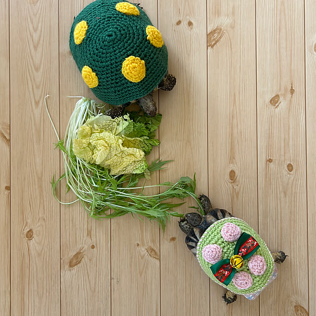 nee_roomさんの実例写真