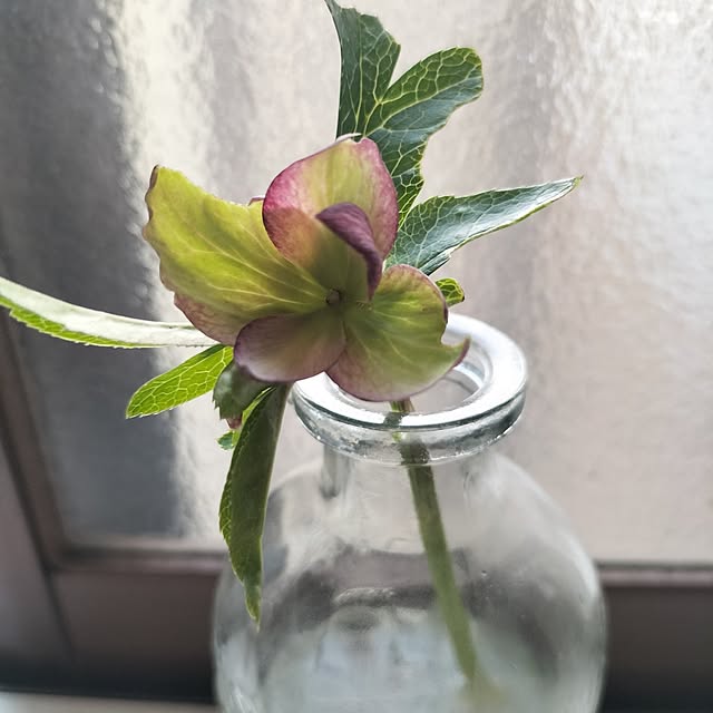 aoiroさんの実例写真