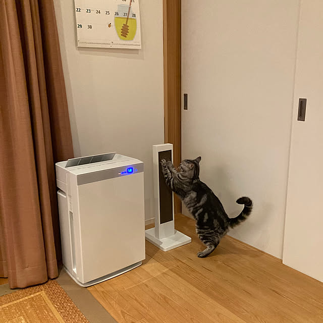 mkmkmoominさんの部屋