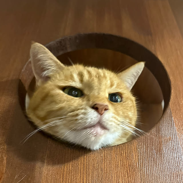 mikeume7さんの部屋