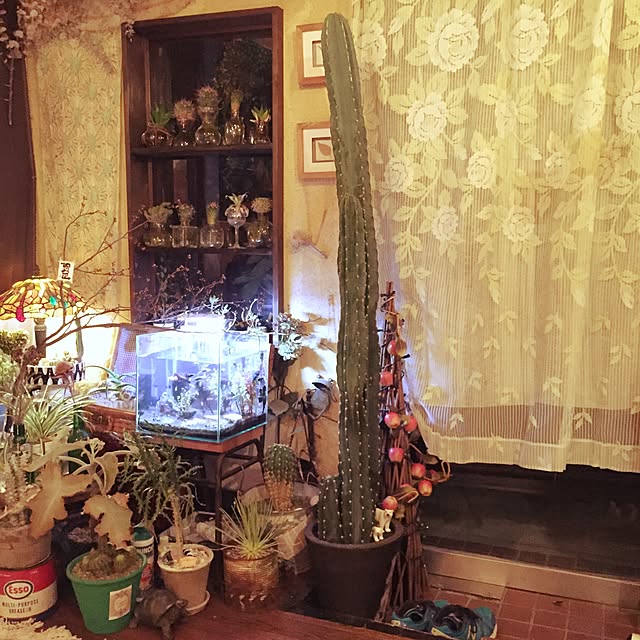 Masahideさんの実例写真
