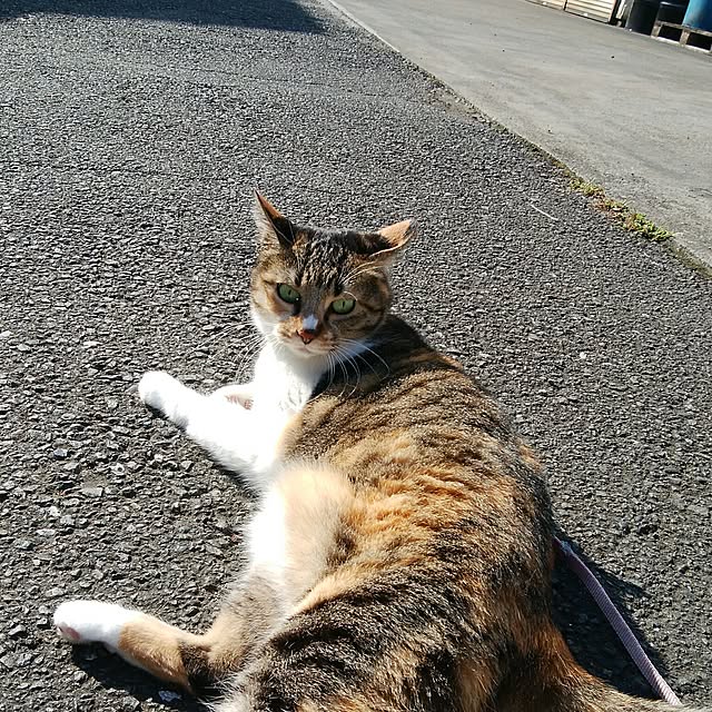 tomo1220さんの実例写真