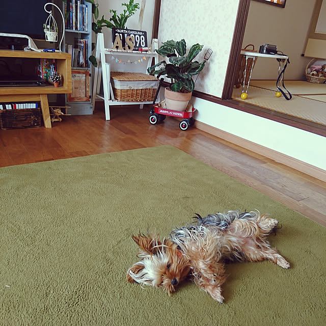 akiさんの実例写真
