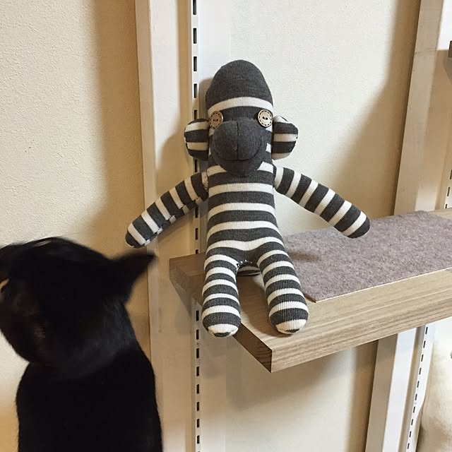 yuki0511さんの実例写真